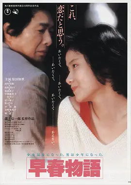 雾港回声 海报